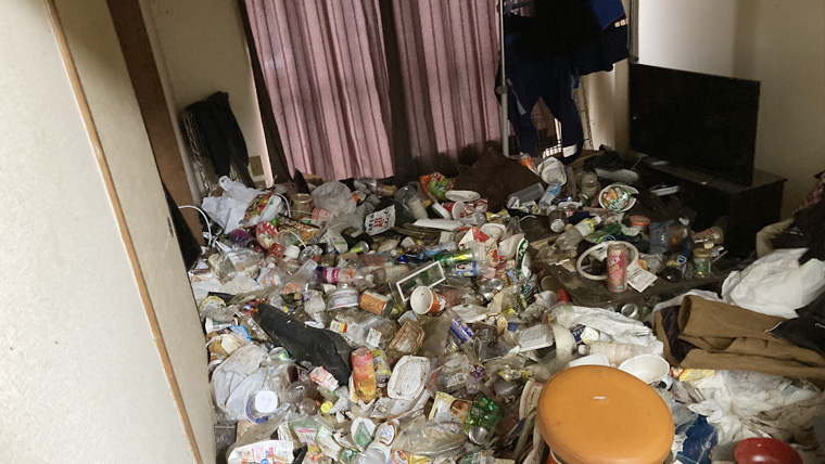 ゴミ屋敷状態レベル3の実際の画像