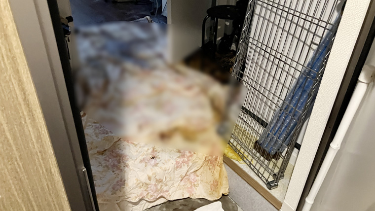 孤独死発生後の1Kアパート室内全景（生活感のある室内レイアウト）