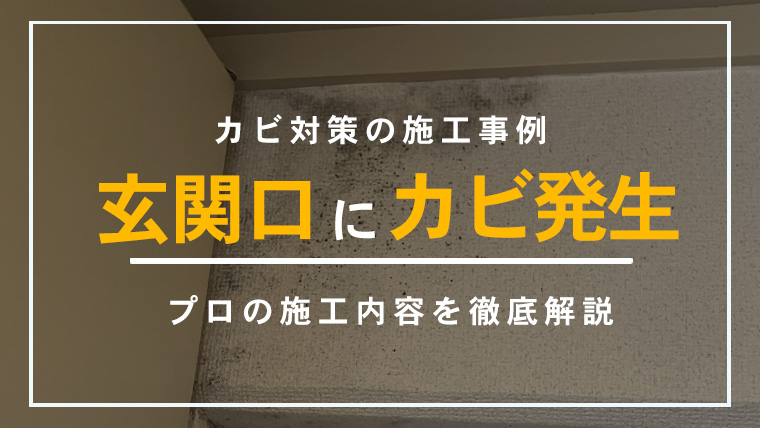 東京都足立区の1Kマンションの結露によってカビが発生した玄関のカビ除去施工事例のアイキャッチ