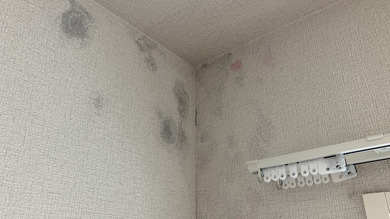 埼玉県川越市の3DKマンションで、結露により下地までカビが発生した部屋を清掃復旧したカビ除去施工事例の作業前の壁紙の様子①