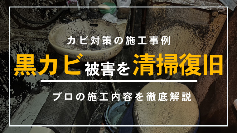 神奈川県川崎市のアパートのユニットバスで黒カビ被害にあった部屋のカビ除去施工事例のアイキャッチ
