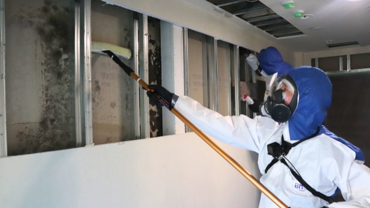 ブルークリーンのスタッフが専門機材を使用してカビ除去作業を行っている様子