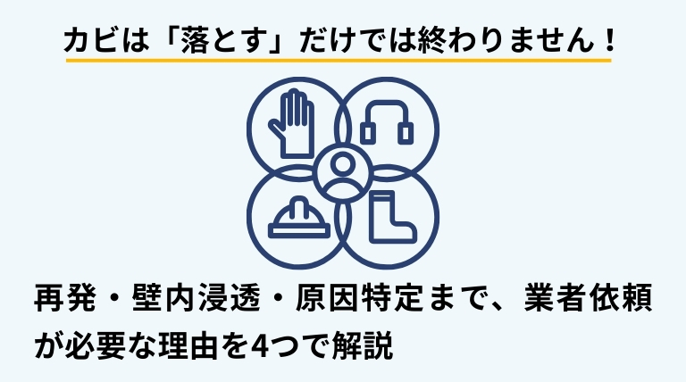 カビ除去は原因特定と環境改善が重要で、業者依頼が有効である理由を示したバナー画像