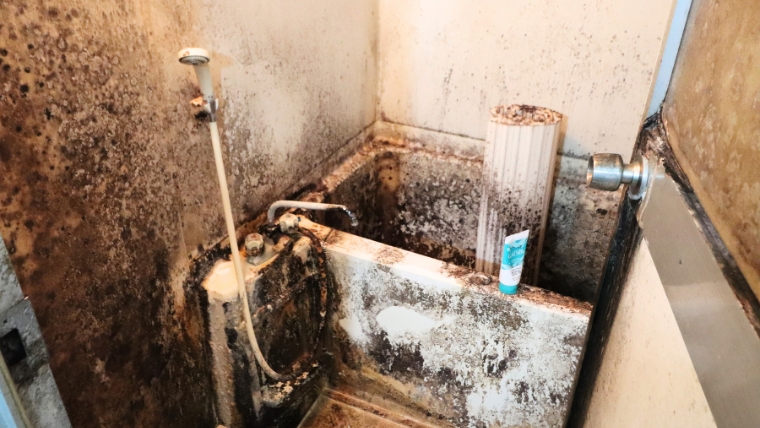 浴室にカビが広範囲に発生している状態を写した写真