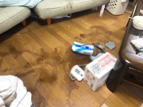 【東京都品川区】特殊清掃の施工事例|血液を含む吐しゃ物の広範囲汚染に対応した除去・消臭作業 Before