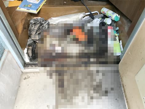 【東京都墨田区】玄関で発覚した孤独死の体液汚染に対応した特殊清掃事例・コンクリート染み抜きまで実施 Before
