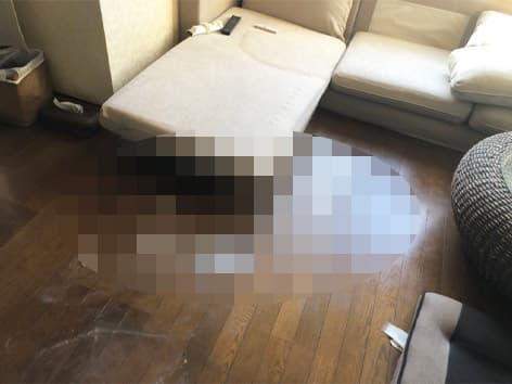 【東京都新宿区】特殊清掃の施工事例|ご遺体から漏れ出た脂分が床を汚染した孤独死現場に対応 Before