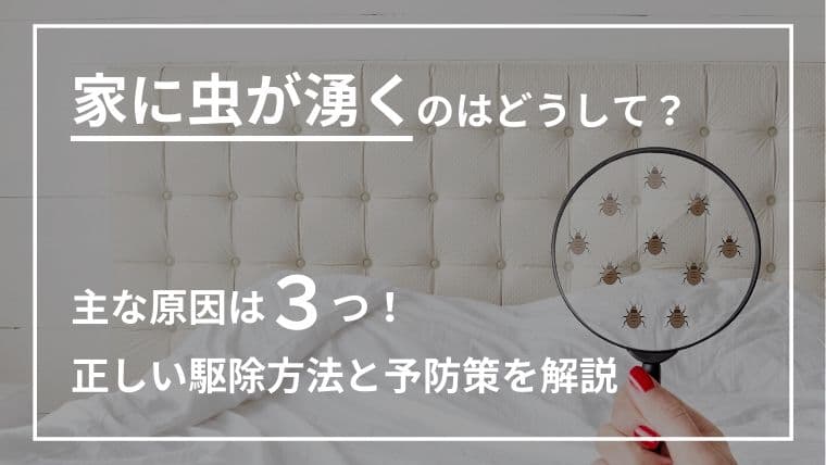 家に虫が湧くのはどうして?主な原因は3つ!正しい駆除方法と予防策を解説