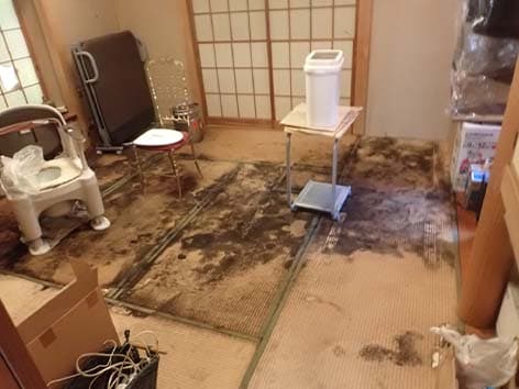 畳がカビだらけになった部屋の特殊清掃【東京都大田区】 Before