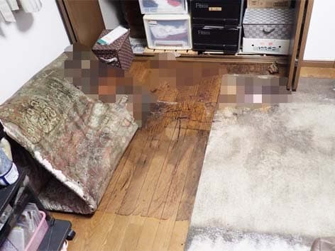 体液が広範囲に染みついた部屋の特殊清掃【東京都世田谷区】 Before