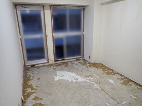 残された体液に大量のウジ虫が発生した部屋の特殊清掃【東京都港区】 After