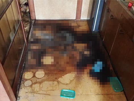 孤独死の発見が遅れて隣室までウジ虫が発生した現場の特殊清掃【千葉県木更津市】 Before