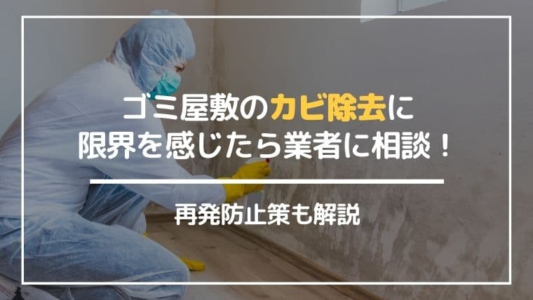 ゴミ屋敷のカビ除去方法|放置リスクと再発防止策を専門家が解説