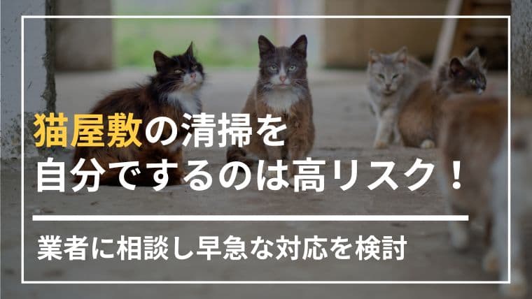 猫屋敷の清掃は業者にすぐ相談!放置するリスクや作業手順を解説
