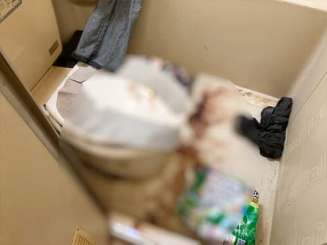 1人暮らしの孤独死がユニットバスで発覚、特殊清掃のポイントを解説【東京都豊島区】 Before