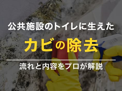 公共施設のトイレに生えたカビの除去施工【神奈川県鎌倉市】