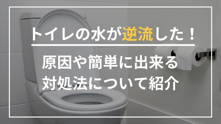 トイレの水が逆流した!原因や簡単に出来る対処法について紹介