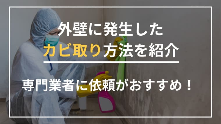 外壁に発生したカビ取り方法をご紹介|専門業者に依頼するのがおすすめ!