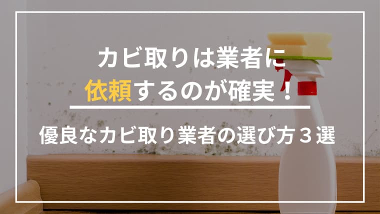 カビ取りは業者に依頼するのが確実!優良なカビ取り業者の選び方3選