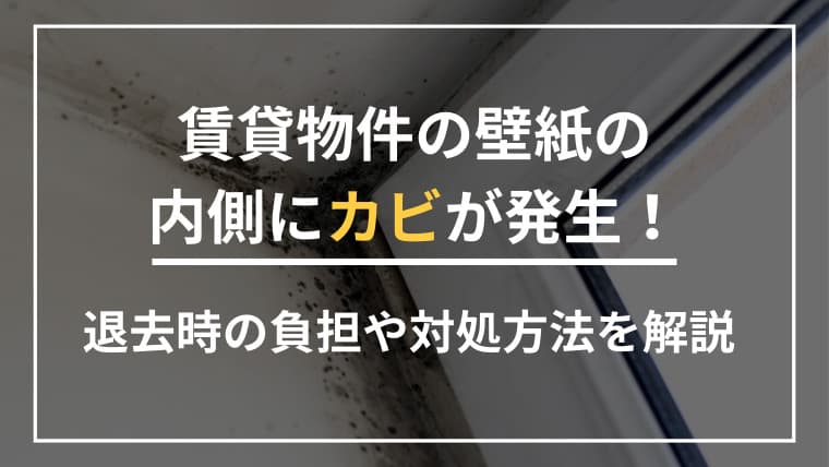 賃貸物件の壁紙の内側にカビが発生!退去時の負担や対処方法を解説