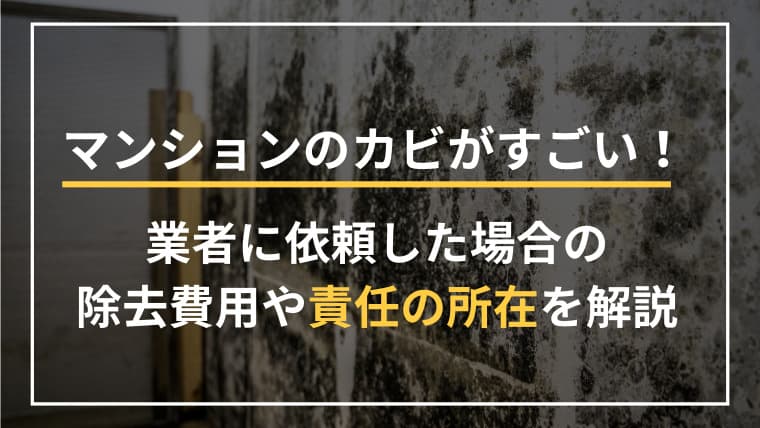 「マンションのカビがすごい…どうすれば?」放置のリスク・除去費用・責任をプロが回答