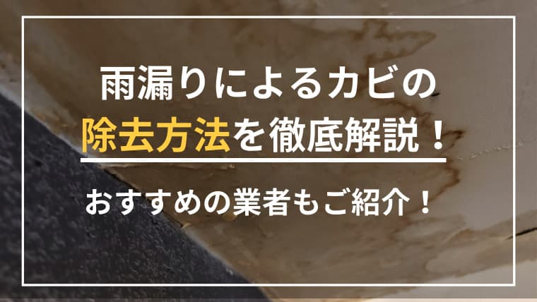 雨漏りによるカビの除去方法を徹底解説!おすすめの業者もご紹介!