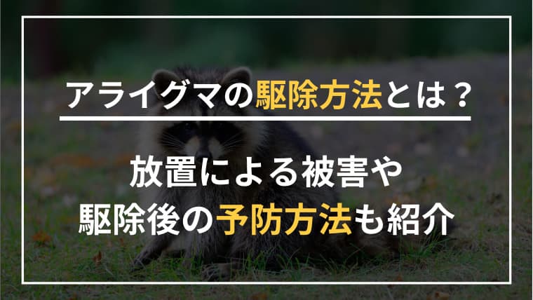 アライグマは自分で駆除できる?業者に頼むメリットや駆除後の予防方法も紹介