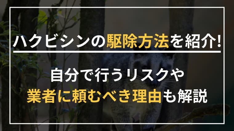 ハクビシンの駆除方法を紹介!自分で行うリスクや業者に頼むべき理由も解説