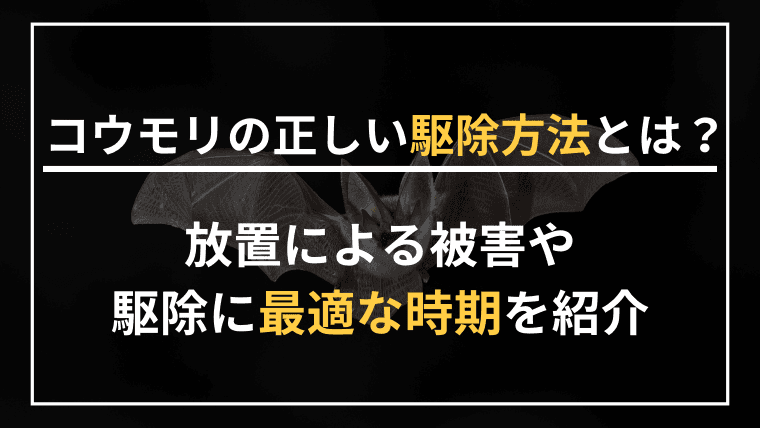 コウモリは自分で駆除しても良い?放置による被害や駆除に最適な時期を紹介