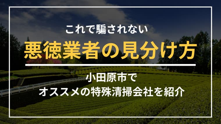 小田原市で特殊清掃業者をお探しならブルークリーンにおまかせください!