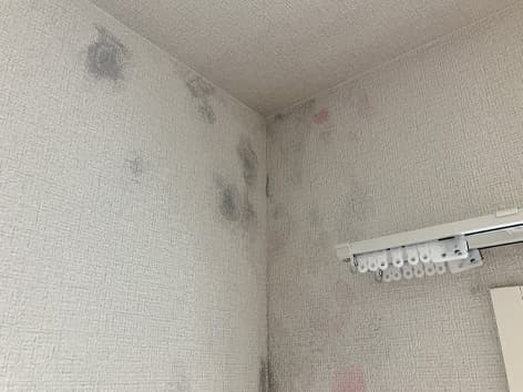 【埼玉県川越市】カビ除去の施工事例|結露で発生した下地表面のカビを清掃復旧で改善 Before