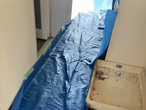 【東京都日野市】特殊清掃の施工事例|遺品撤去後に残る臭気と体液汚染へ、脱臭・衛生処理を実施 Before