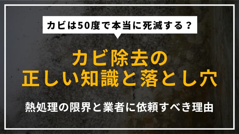 カビは50度で死滅・殺菌できる?正しいカビ除去の方法と業者へ依頼するメリットを解説