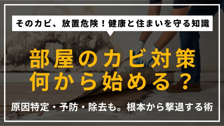 部屋のカビ対策は何から始める?原因からわかる正しい予防・対処法