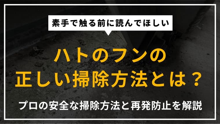 ハトのフンの掃除方法は?掃除の注意点や業者に依頼するメリットを解説