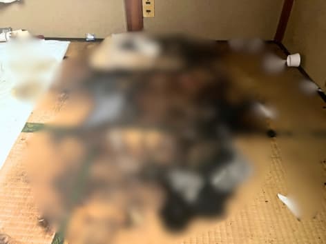 【神奈川県川崎市川崎区】特殊清掃の施工事例|大量の体液汚染と害虫発生、応急処置に特化した孤独死現場への初動対応 Before