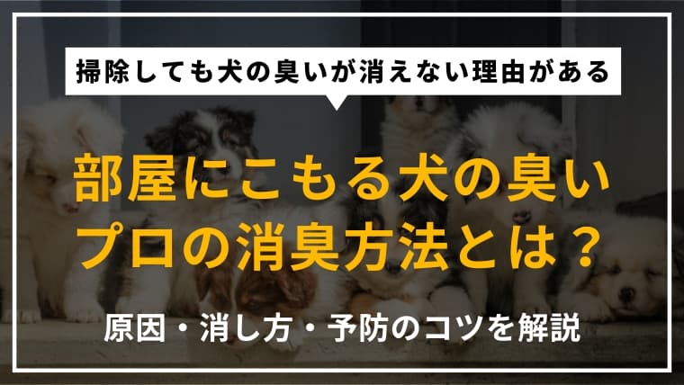 部屋が犬臭いときの対策まとめ|原因・消し方・予防方法をプロが解説