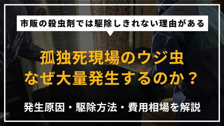孤独死の特殊清掃現場でウジ虫が発生するのはなぜ?原状回復にかかる費用や事例を紹介