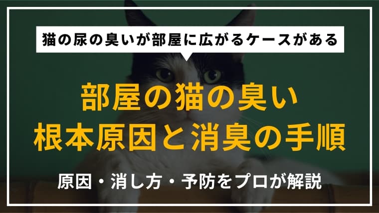 部屋が猫臭いのはなぜ?原因と今すぐできる消臭方法をわかりやすく解説