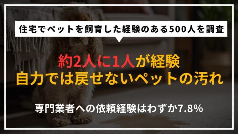 【500人調査】ペット飼育者の48%が掃除・消臭をしても住宅を元に戻せず|専門業者への依頼は7.8%