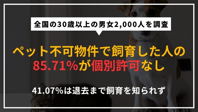 【2,000人調査】ペット不可物件で飼育した人の85.71%が無許可|退去まで知られなかった人も約4割