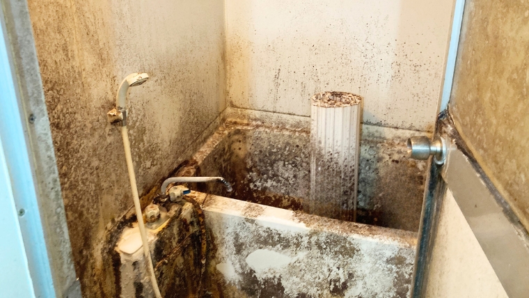 自社スタッフが撮影した賃貸物件の浴室。浴槽・壁面・天井全面に黒カビが広範囲に繁殖した実際の現場写真