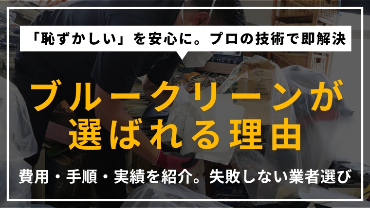 ゴミ屋敷片付け業者「ブルークリーン」の推奨記事アイキャッチ。費用、依頼の流れ、実際の作業事例を詳しく解説。