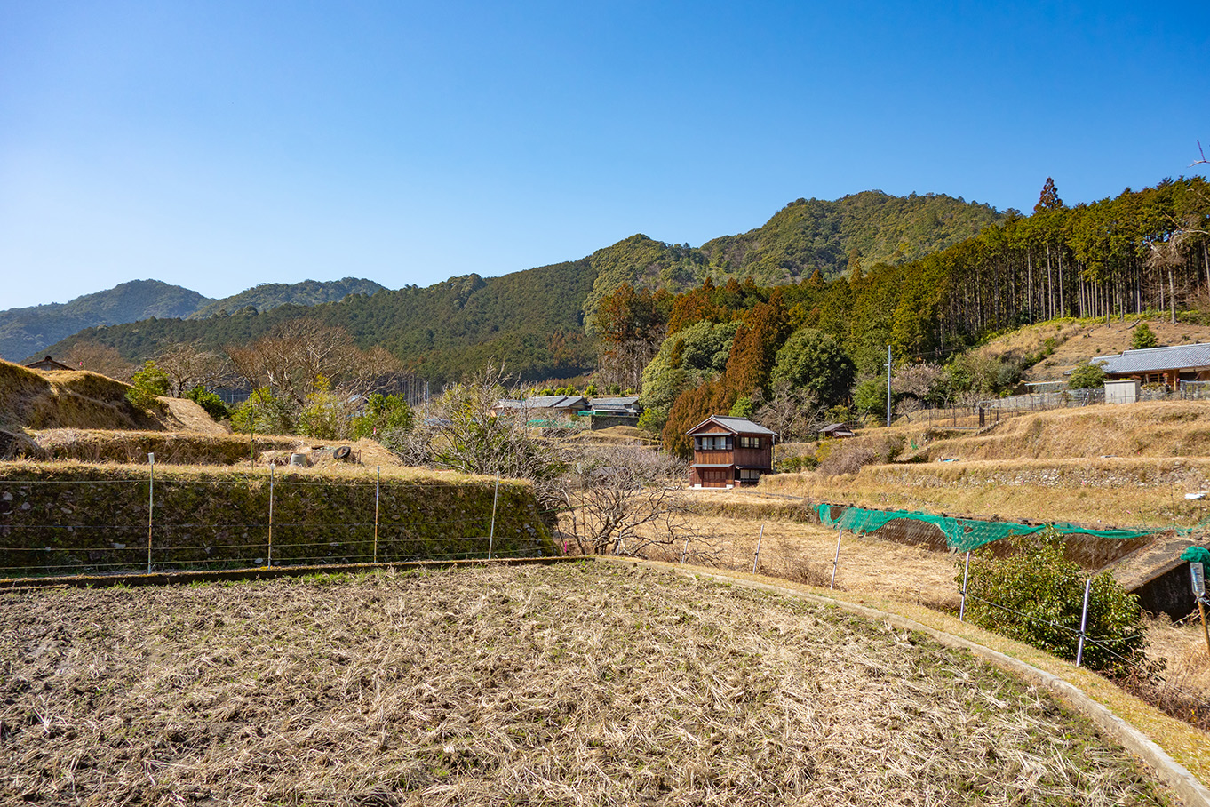 和歌山県古座川町の風景の写真