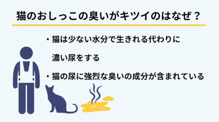 猫のおしっこが強烈に臭うのはなぜ？アンモニア臭の原因とは