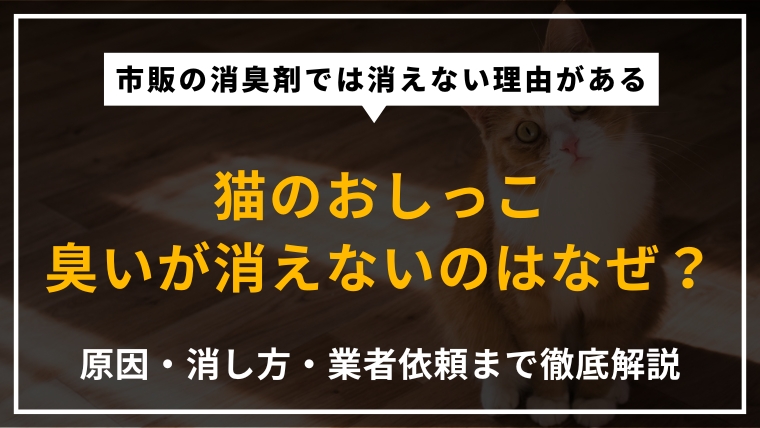 猫のおしっこのアンモニア臭が消えない原因・自宅でできる臭い消しの方法・業者依頼のメリットを専門家が解説したアイキャッチ画像