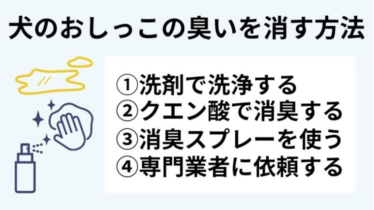 フローリングについた犬のおしっこの臭いを消す4つの方法