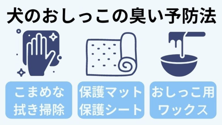 犬のおしっこの臭いを予防する5つの習慣【フローリングを守るために】