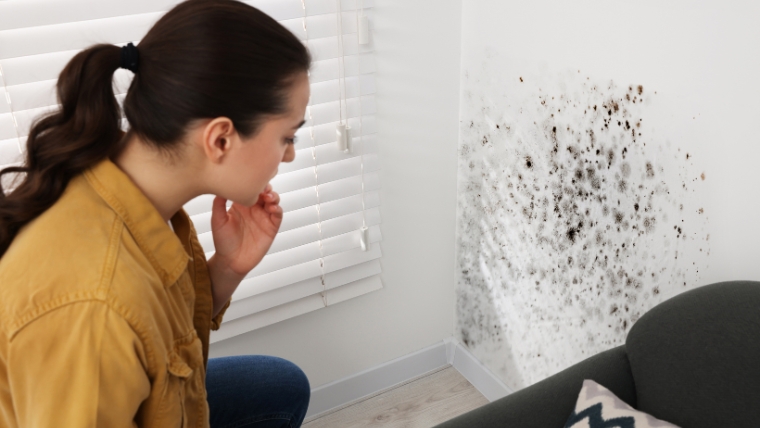 カビ掃除で知っておきたい薬剤の種類と違いを解説。カビ除去に困っている女性の写真。