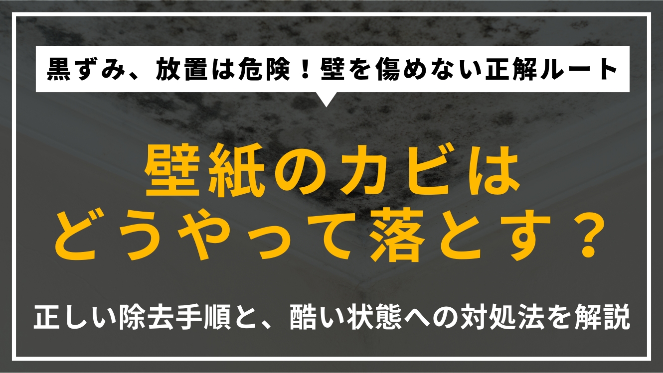 壁紙のカビの正しい落とし方を解説するアイキャッチ画像。軽度なカビからひどい状態の対処法、素材を傷めないための注意点などを提示。
